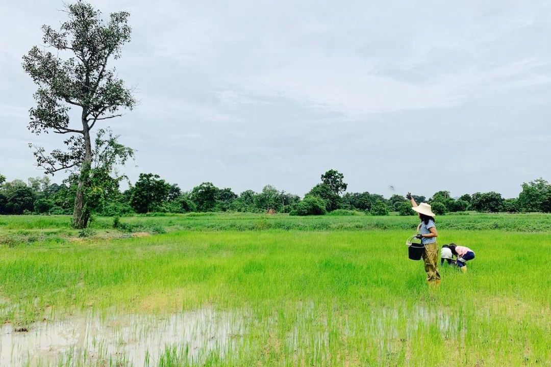 Photo of Others in Kaeng Khoi