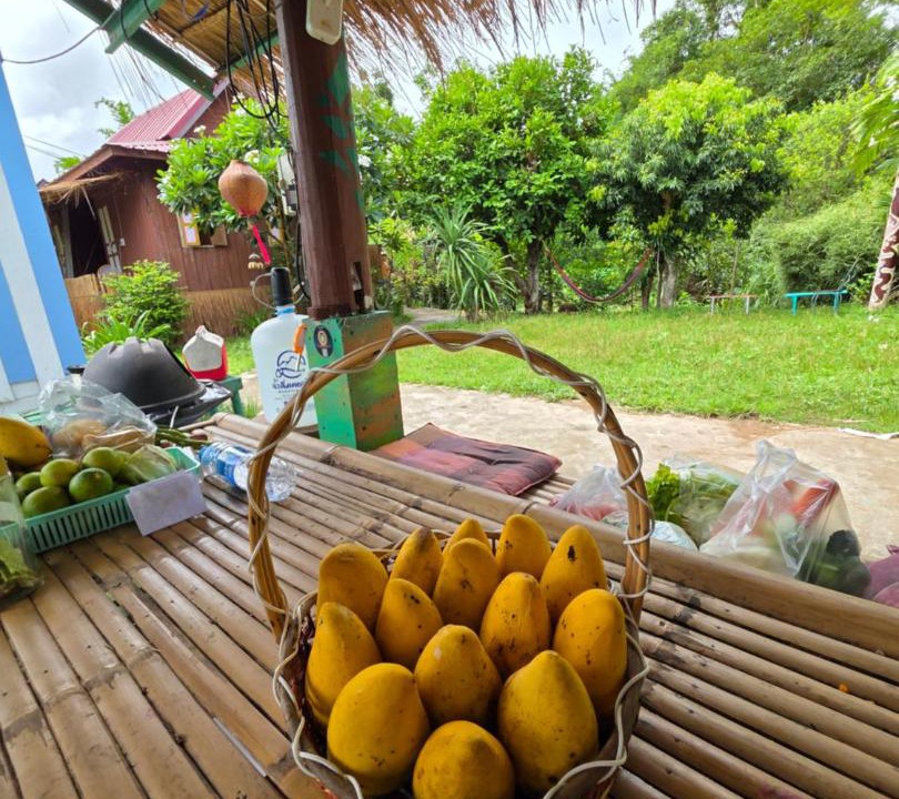 Photo of Others in Pai