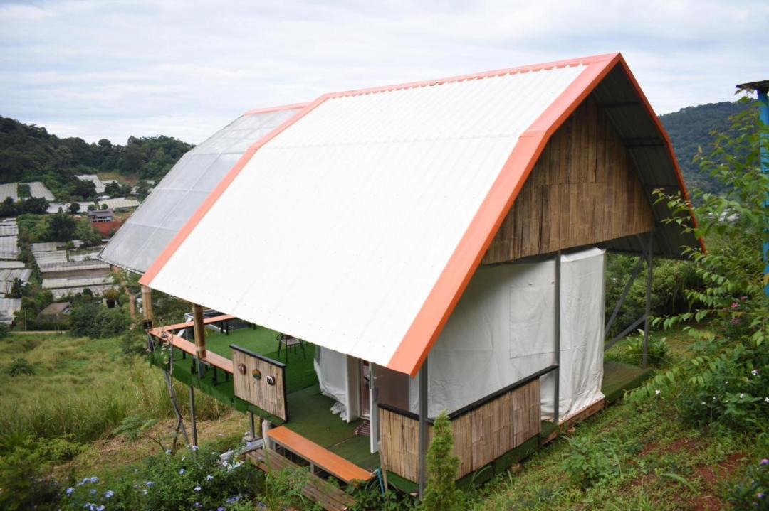 Photo of Others in Pong Yaeng