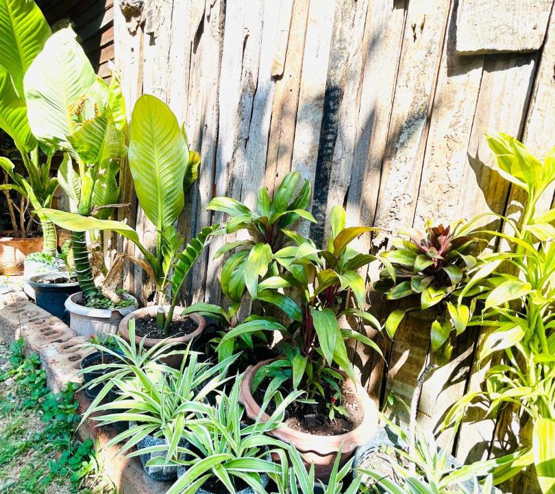Photo of Outdoor in Pai