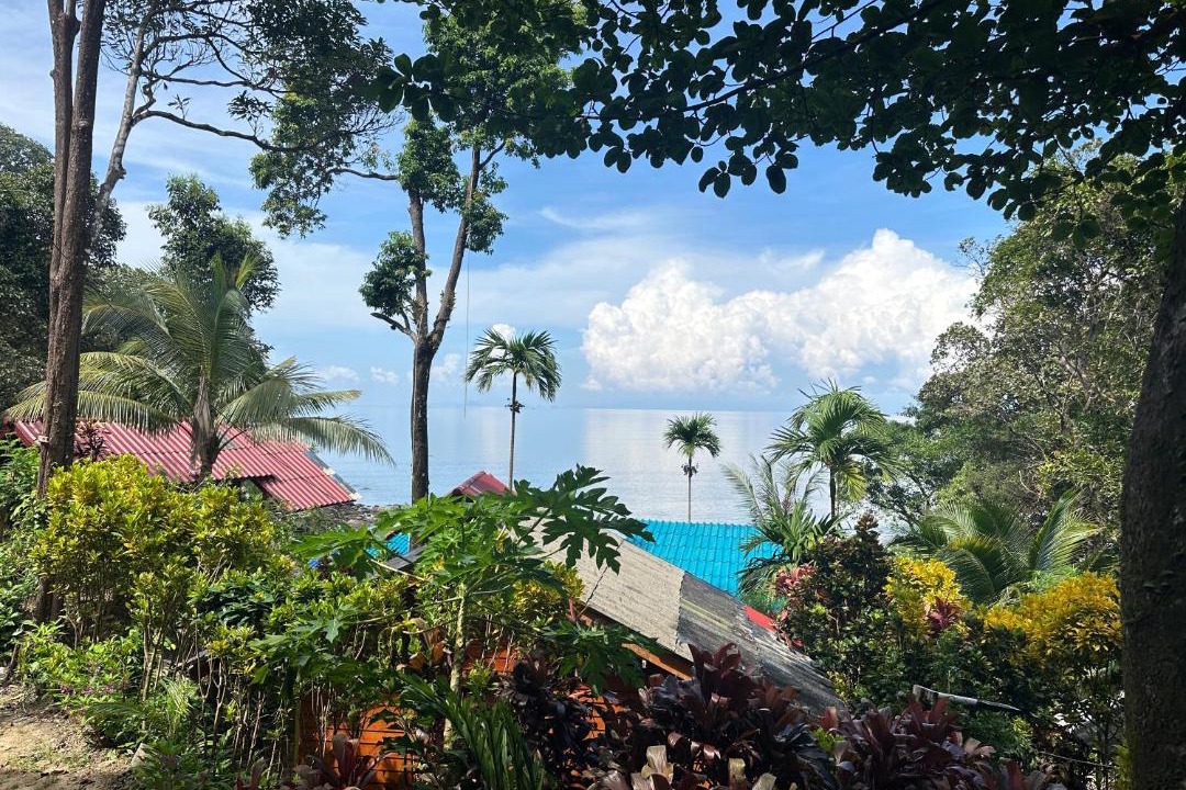 Photo of Others in Ranong