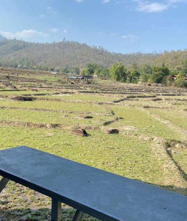 Photo of Others in Pai