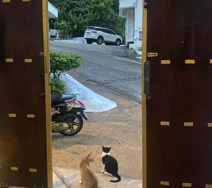 Photo of Others in Karon