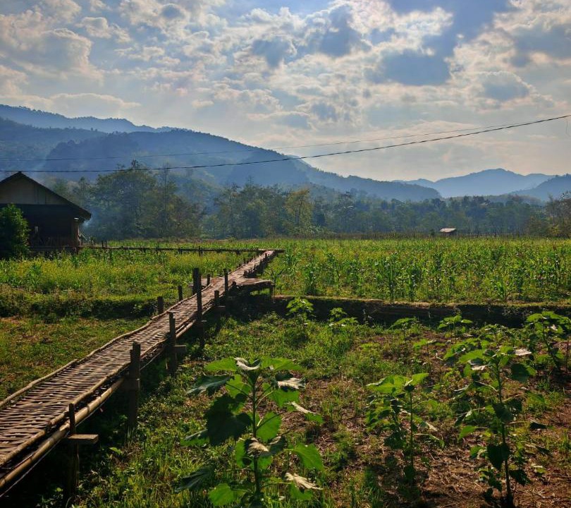 Photo of Others in Louangphabang