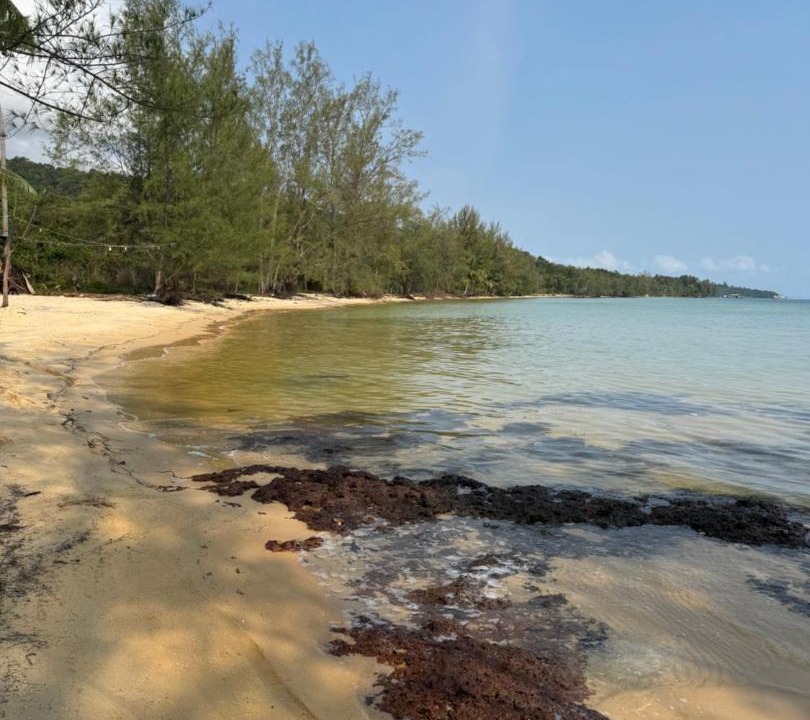 Photo of Others in Koh Rong