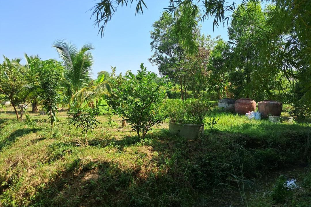 Photo of Others in Kumphawapi
