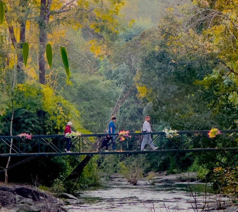 Photo of Others in Chom Thong