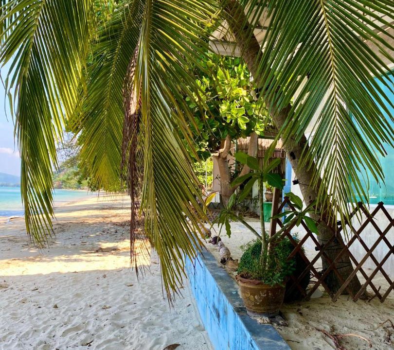 Photo of Others in Wichit