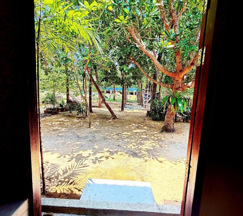 Photo of Others in Mai Khao