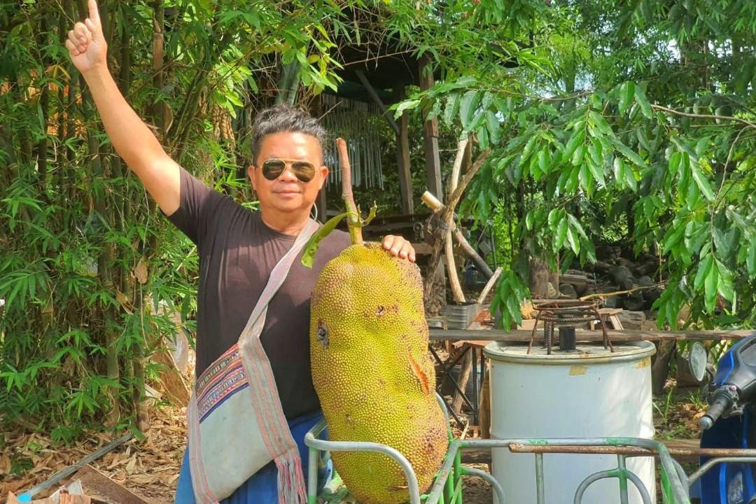 Photo of Others in Phrao