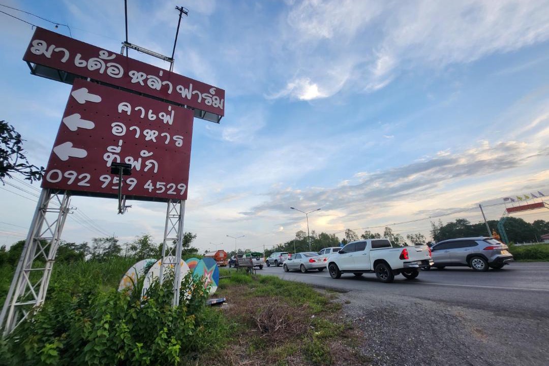 Photo of Others in Nong Tao