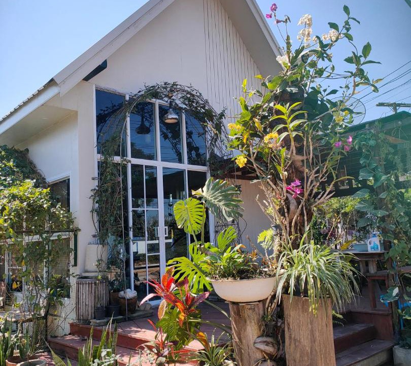 Photo of Others in Chiang Khan