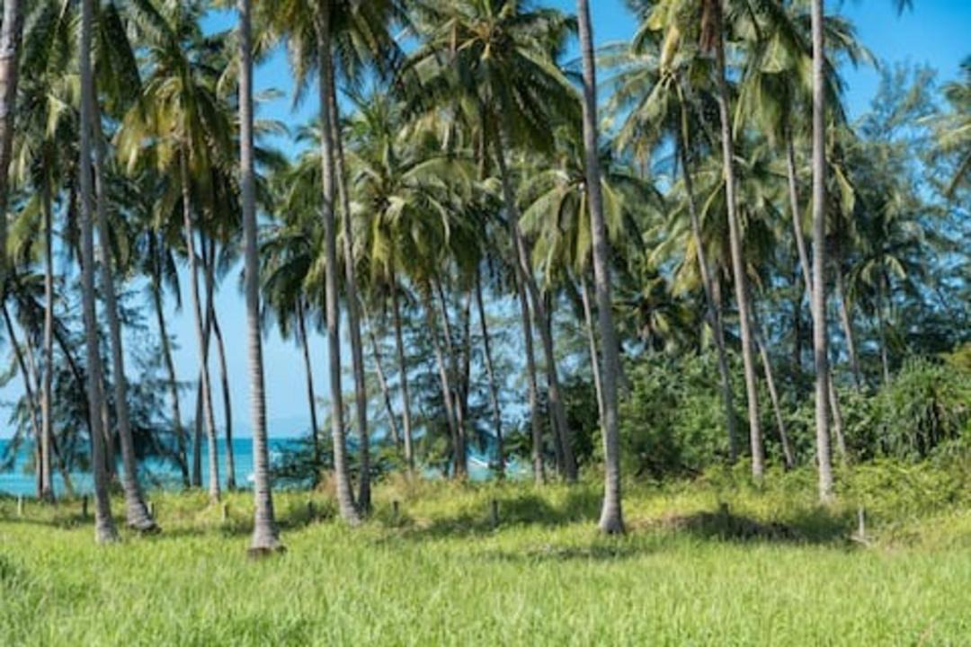 Photo of Others in Ang Thong