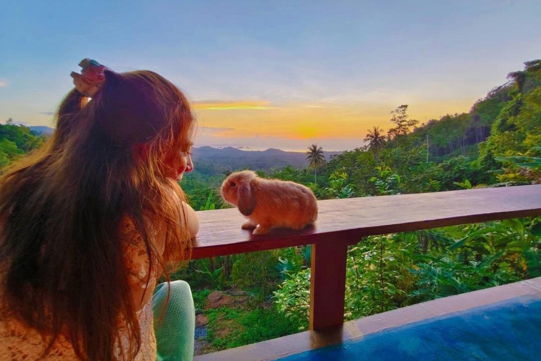 Photo of Others in Koh Samui