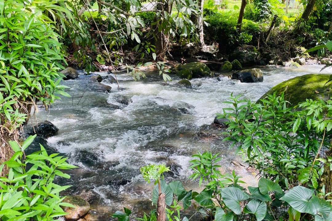 Photo of Others in Khlong Sok