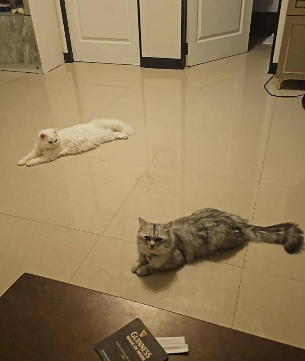 Photo of Others in Wang Pong