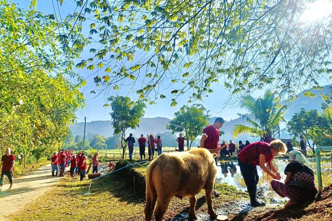 Photo of Others in Mae Wang