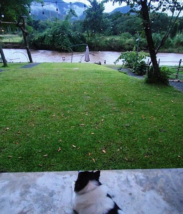 Photo of Others in Pai