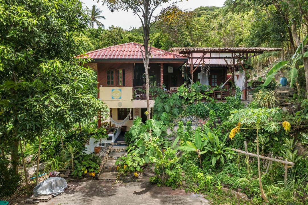 Photo of Others in Koh Tao