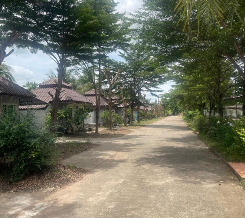 Photo of Others in Yasothon