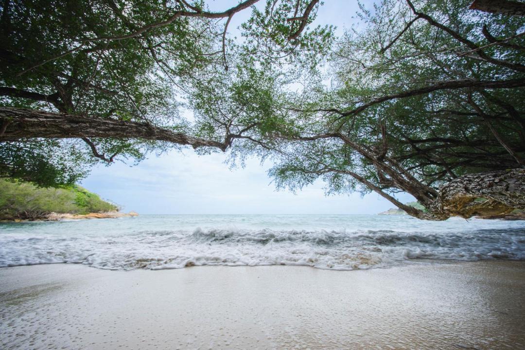 Photo of Others in Rayong