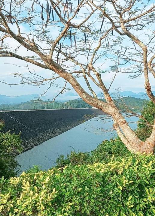 Photo of Others in Ban Ta Khun