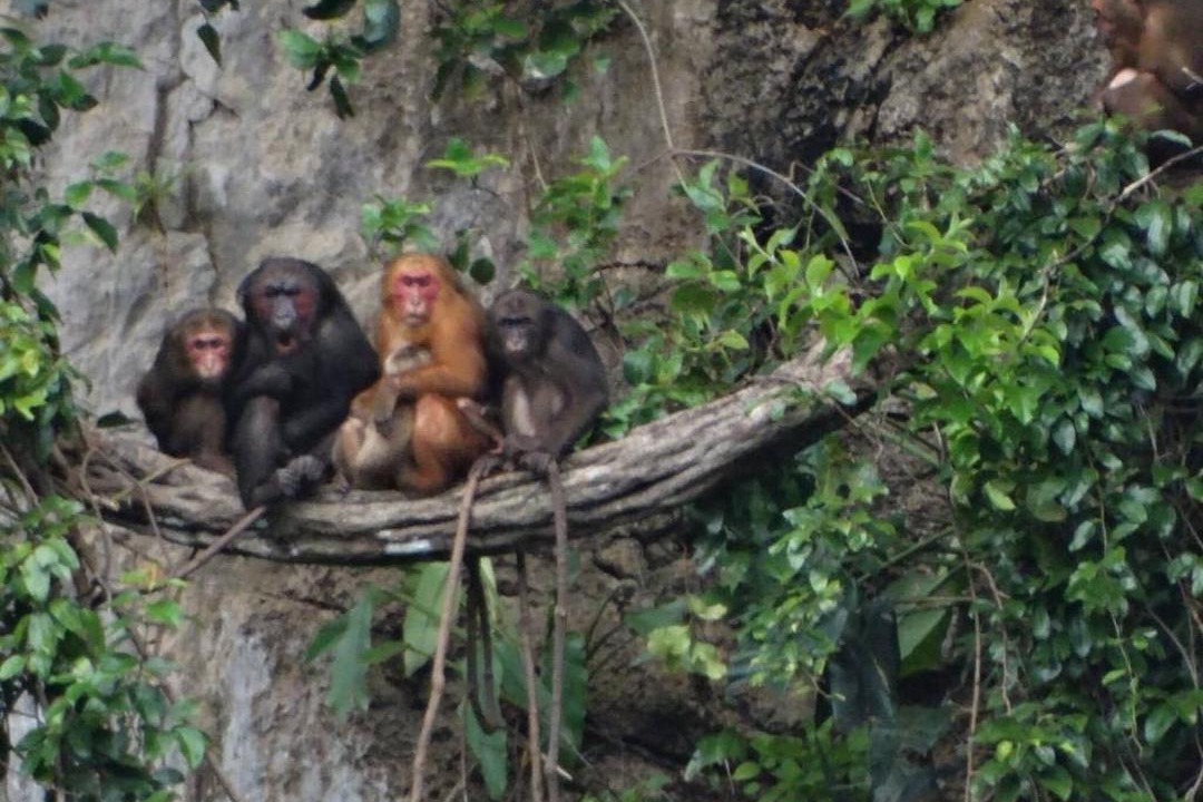 Photo of Others in Nong Thale