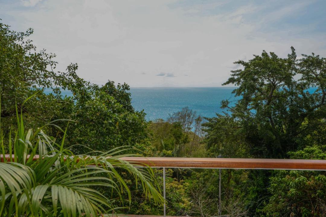 Photo of Others in Koh Tao