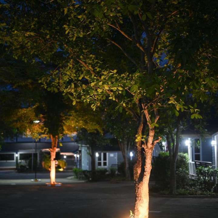 Photo of Others in Loei Province