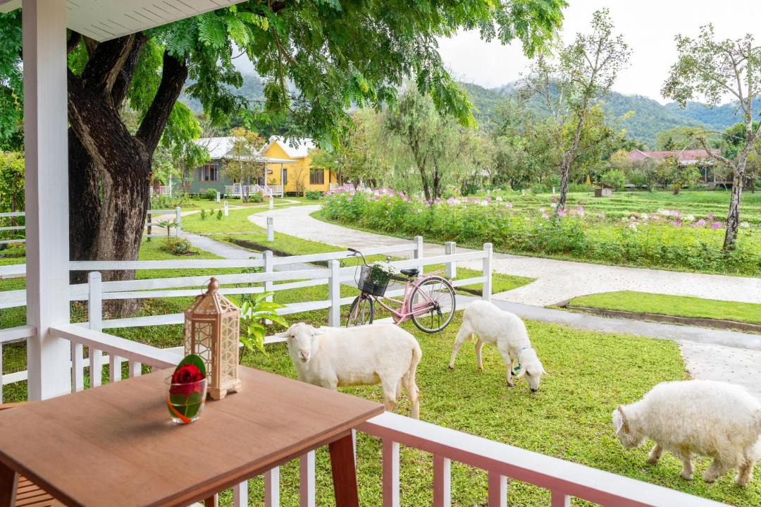 Photo of Others in Pai