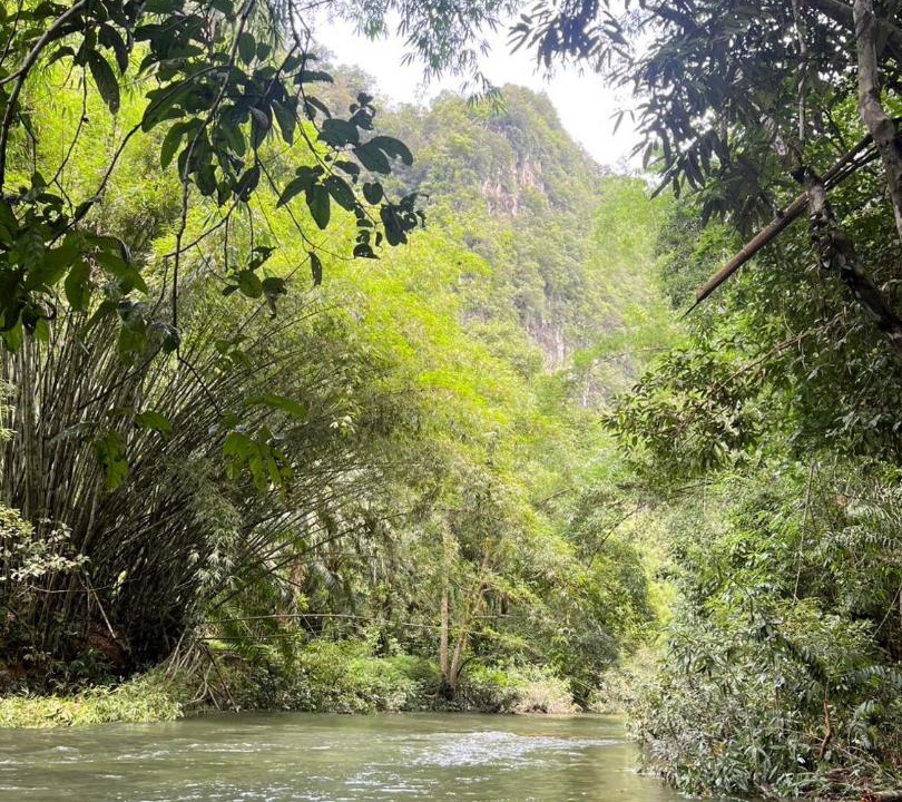 Photo of Others in Khlong Sok