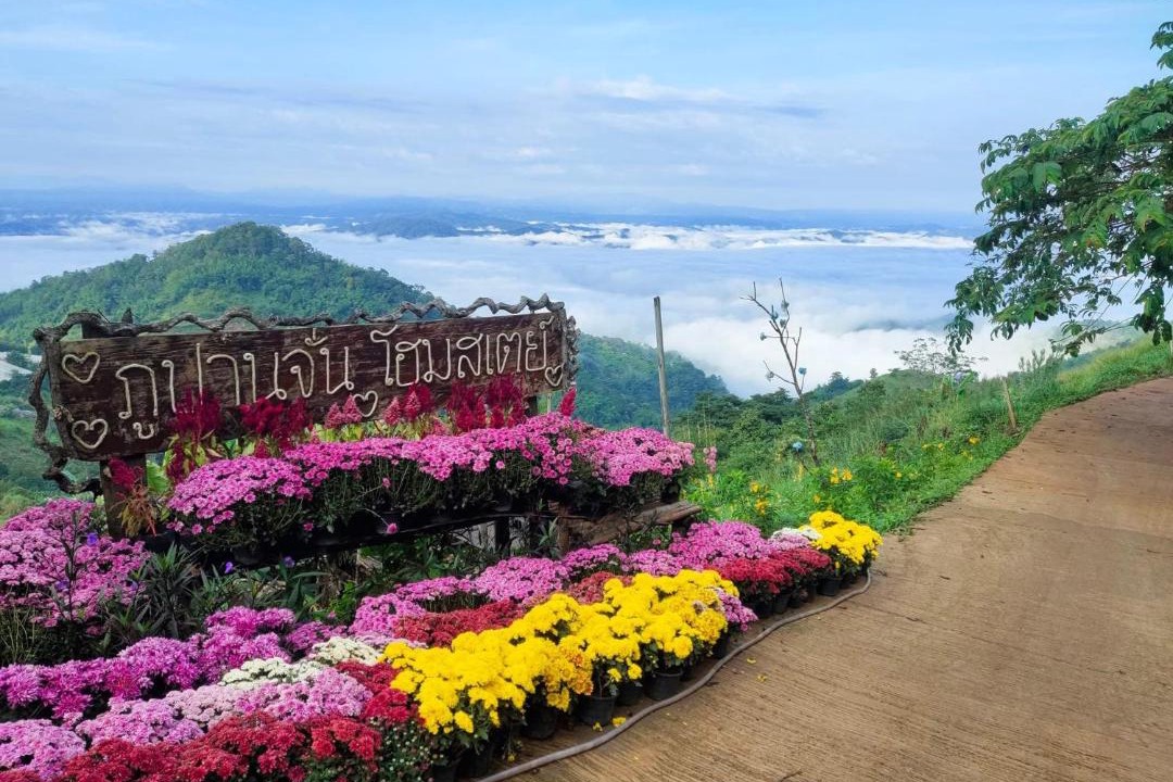 Photo of Others in Samoeng Tai