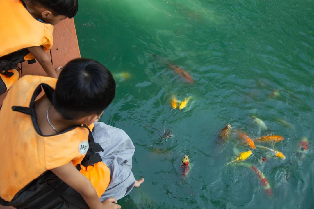 Photo of Others in Wang Nam Khiao