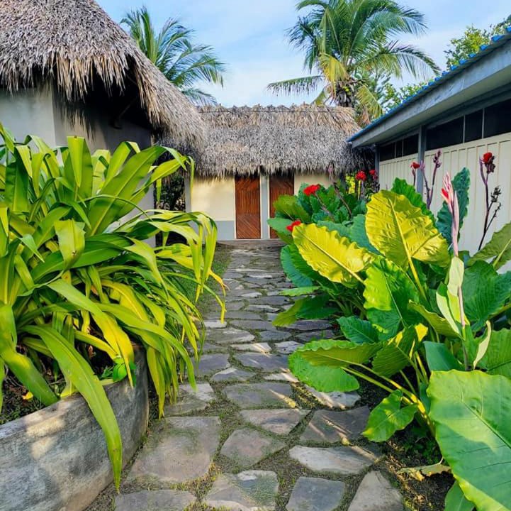 Photo of Others in Ometepe Island