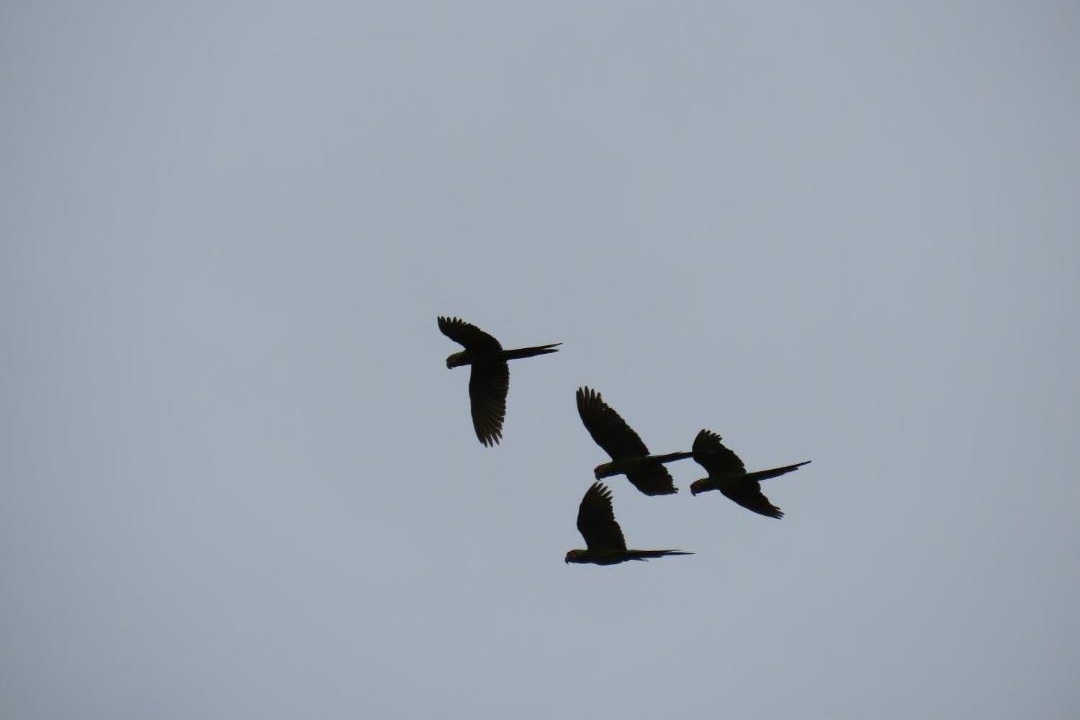 Photo of Others in El Castillo