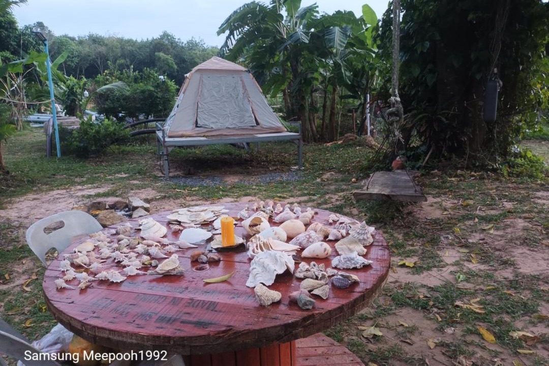 Photo of Others in Ang Thong
