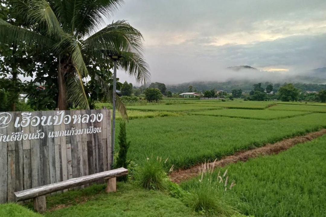 Photo of Others in Pua