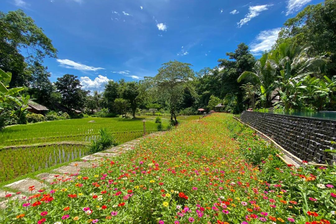 Photo of Outdoor in Mae Hong Son