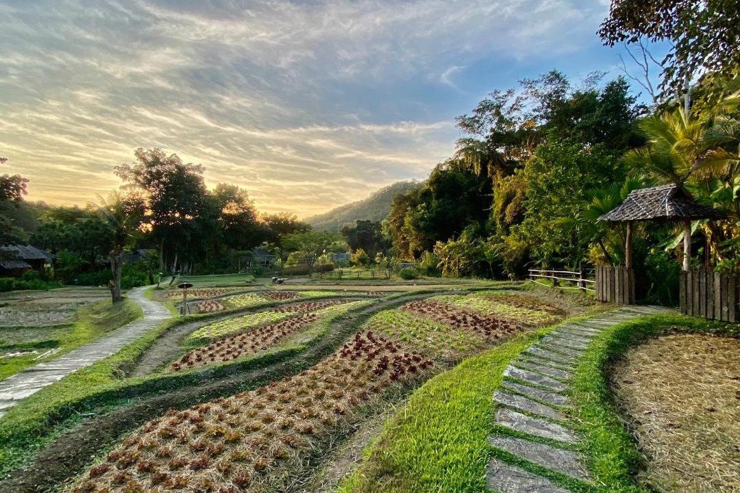 Photo of Others in Mae Hong Son