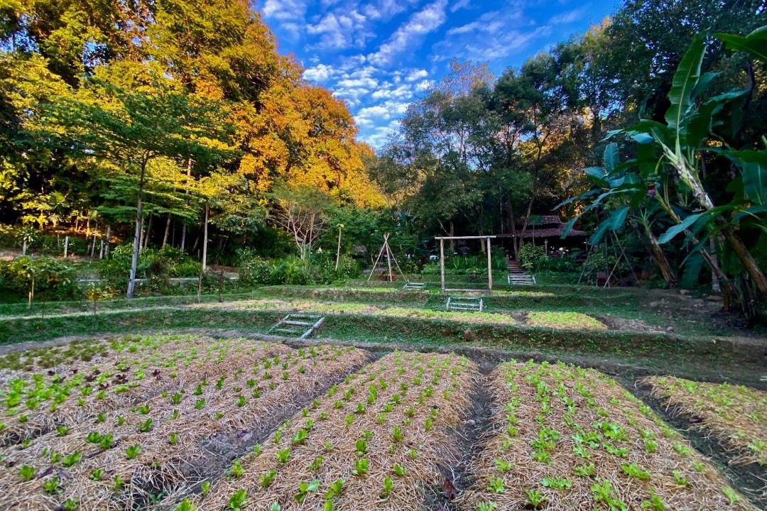 Photo of Others in Mae Hong Son