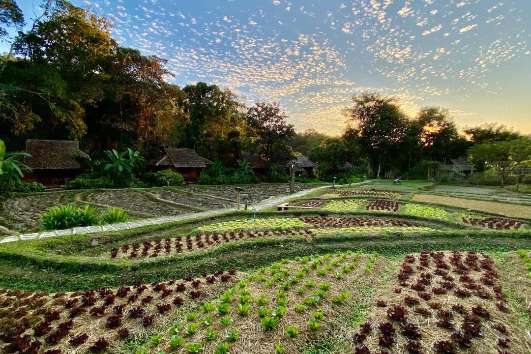 Photo of Others in Mae Hong Son