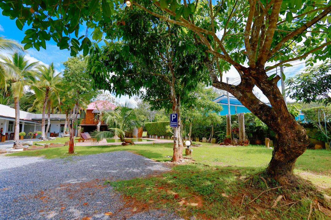 Photo of Others in Krabi