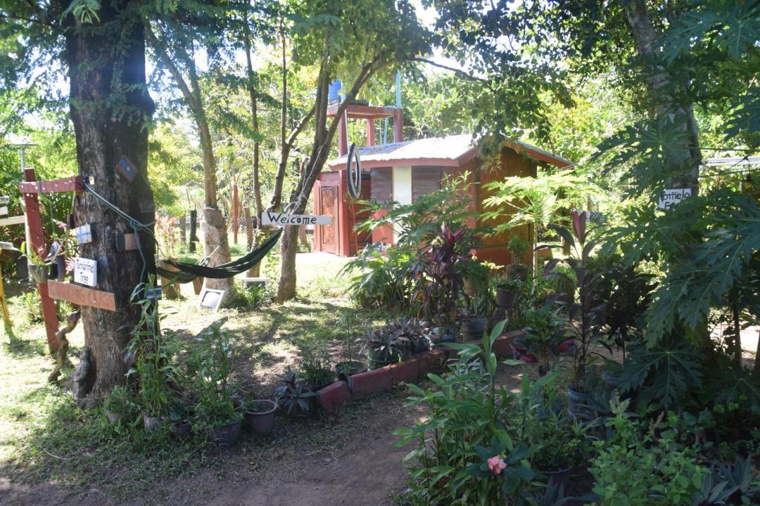 Photo of Others in Muang Khong