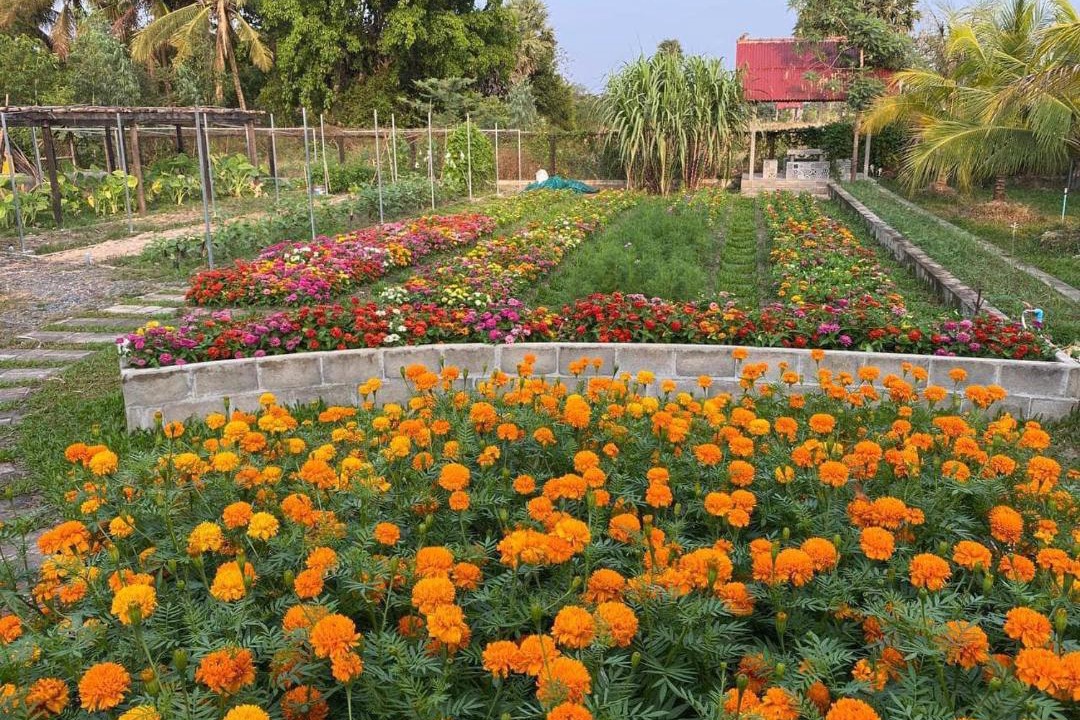 Photo of Others in Kampot
