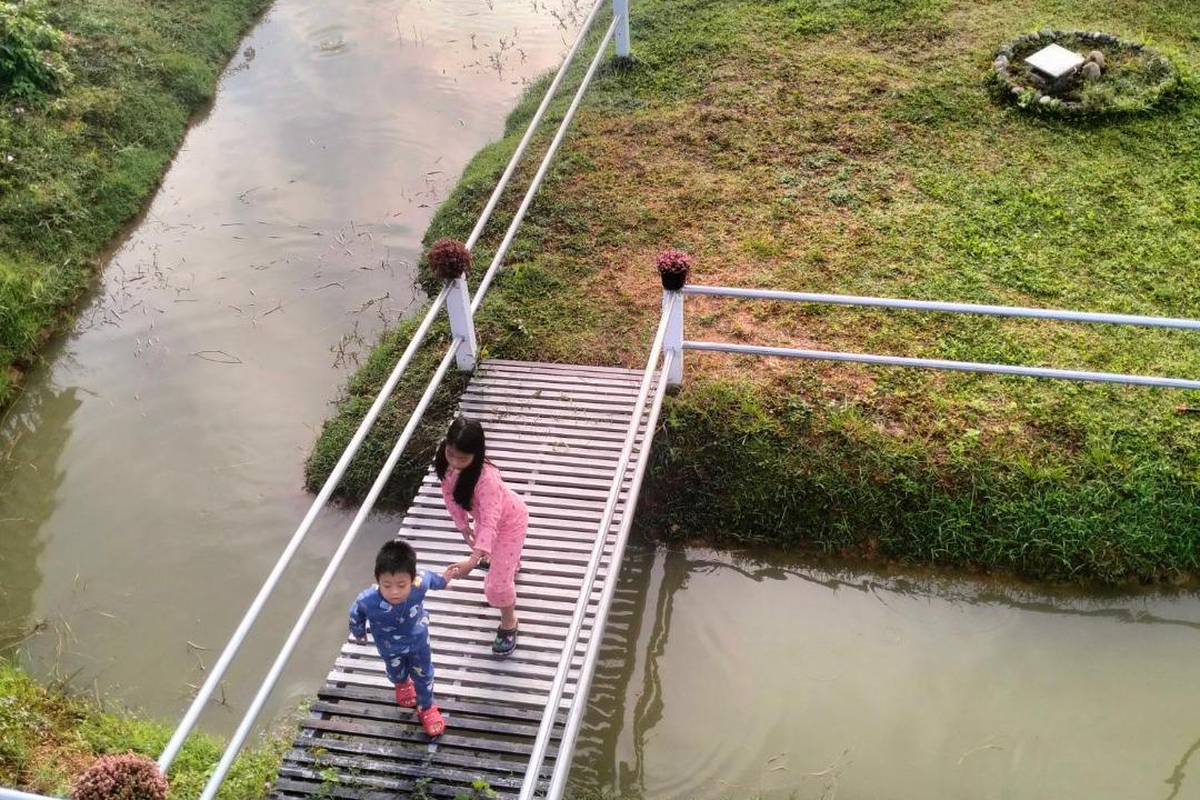 Photo of Others in Pua