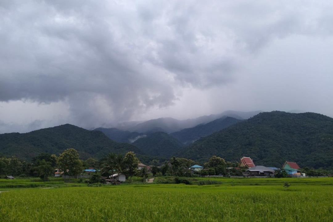Photo of Others in Pua