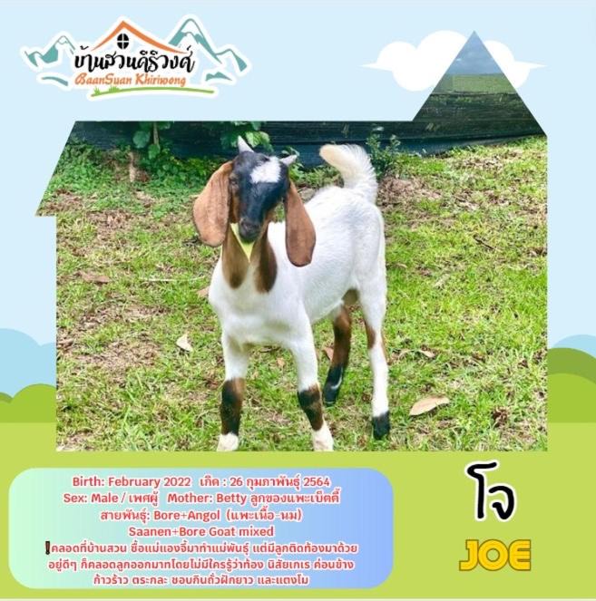 Photo of Others in Khao Yoi