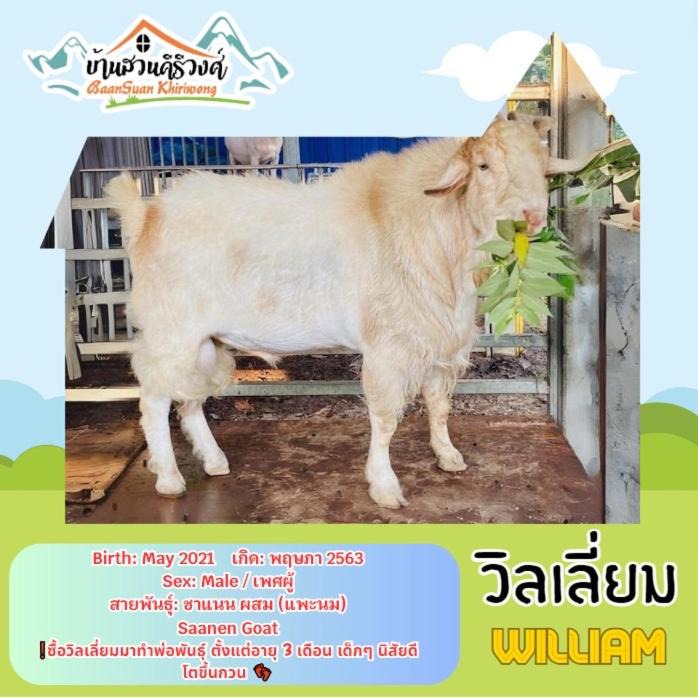 Photo of Others in Khao Yoi