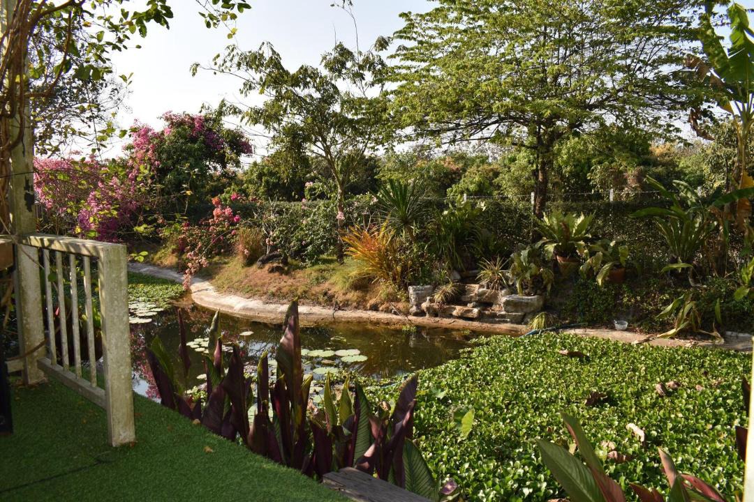 Photo of Others in Mae Faek Mai