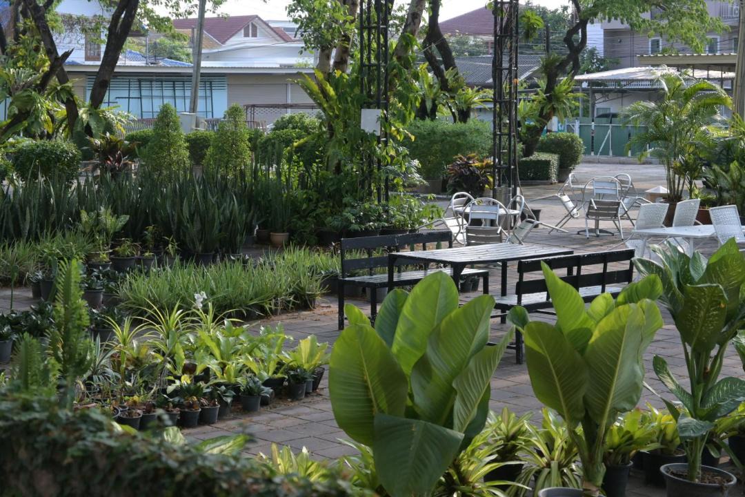 Photo of Others in Phitsanulok